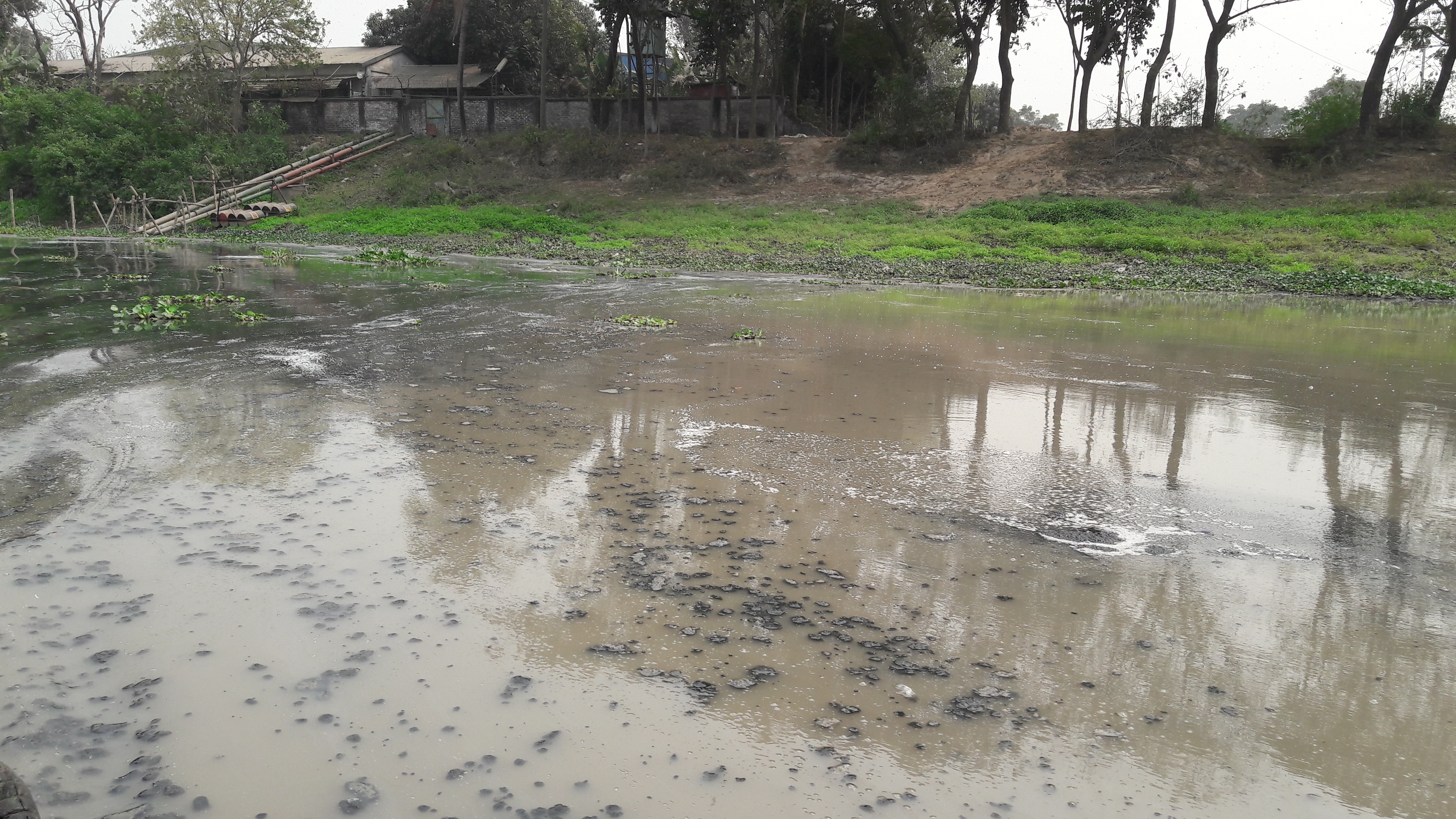 Jhawchar Canal, February 2017