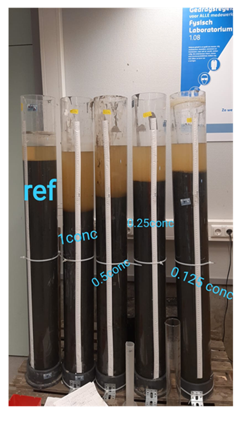 Initial dewatering after worms application, for several worm concentrations